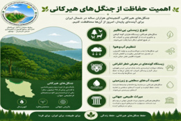 اینفوگرافیک
