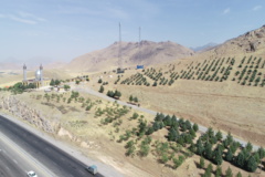 عکس‌های جنگل