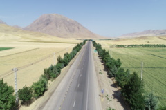 عکس‌های جنگل