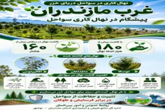 غرب مازندران پیشگام در نهالکاری سواحل