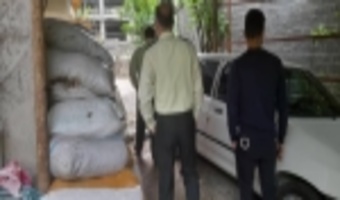 كشف 50 كبسه خاك برگ جنگلي در چالوس 