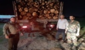 خودروهای حامل چوب در دام نیروهای یگان حفاظت منابع طبیعی