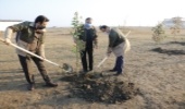 ۱۰۰ اصله نهال به نام سردار سلیمانی در محدوده ساحلی نوشهر کاشته شد