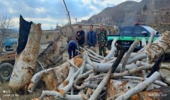 تخريب اعياني در ساحل نوشهر 