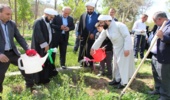 کاشت نهال با فرزند شهید مدافع سلامت در هفته سلامت
