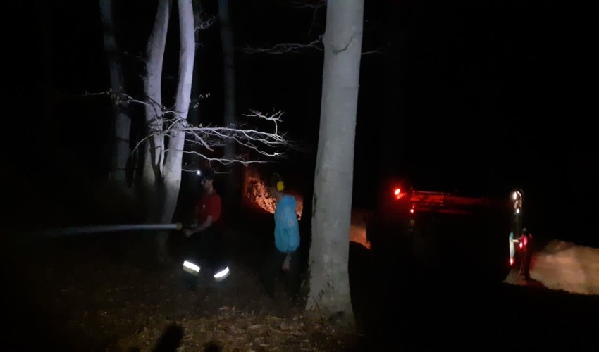 اطفای حریق در جنگل‌های هیرکانی منطقه لیکر شهرستان چالوس