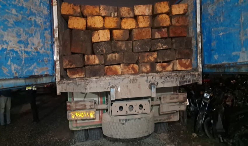 موفقیت بامدادی یگان حفاظت منابع طبیعی در مهار قاچاق چوب در محور عباس‌آباد