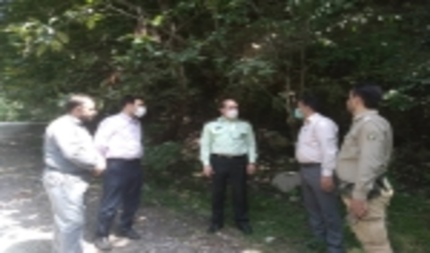 اقدامات حفاظت از منابع طبیعی در جنگل های هیرکانی تشدید می‌شود