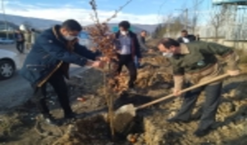 دومین پویش مردمی کاشت نهال در شهرستان چالوس