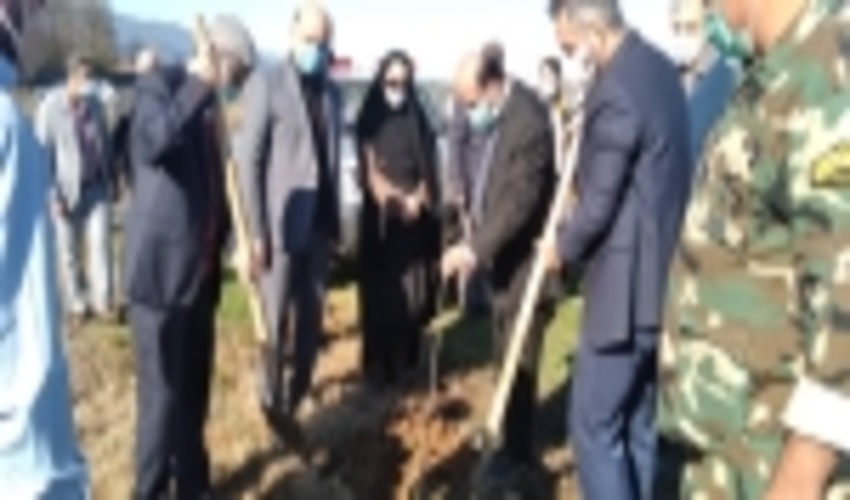  نهالکاری در راستای توسعه زراعت چوب در شهرستان چالوس