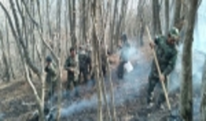 مدیر روابط عمومی اداره کل منابع طبیعی مازندران- نوشهر اعلام نمود