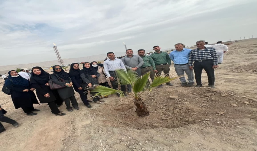 استحکام بند سرشاخه گیر خورماچال عباس آباد