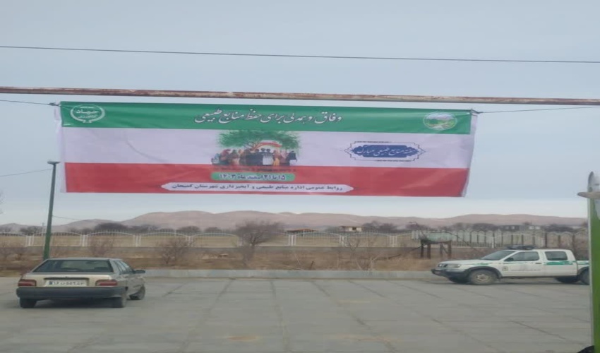  معاون حفاظت سازمان جنگل ها: خطر انقراض شمشادهای شمال کشور رفع شد