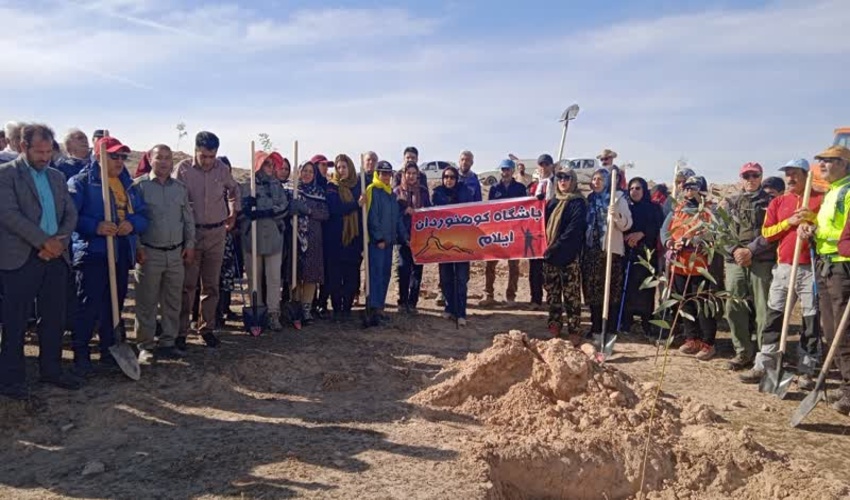  سرپرست معاونت حفاظت و امور اراضي سازمان جنگلها اعلام كرد :حدود دو ميليون اصله نهال شمشاد توليد شد 