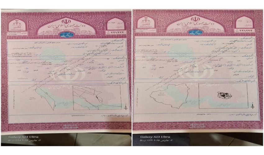 گزارش تصویری از کاشت نهال توسط بانوان 