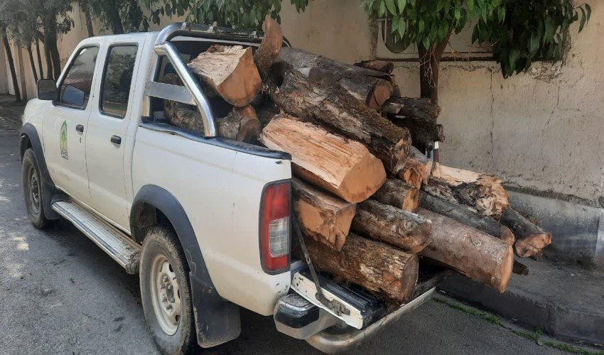 عزاداري كاركنان اداره كل منابع طبيعي نوشهر به مناسبت ماه محرم