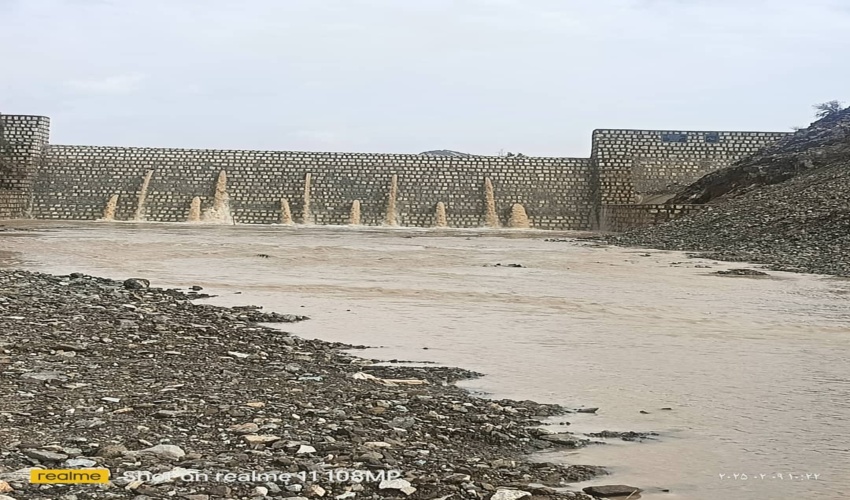 ۱۷ درصد دام‌ها در مراتع غرب مازندران غیرمجاز هستند