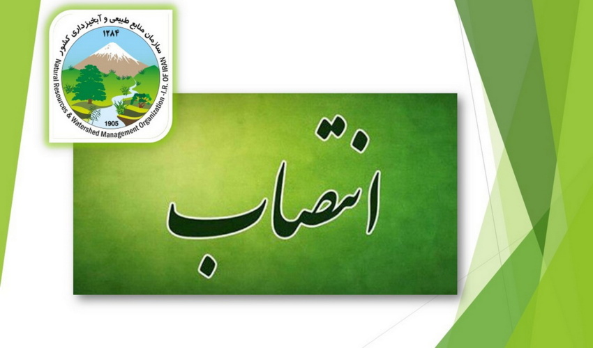 سرپرست منابع طبیعی نوشهر :بیش از 500 هزار اصله نهال رایگان در هفته منابع طبیعی توزیع می شود 