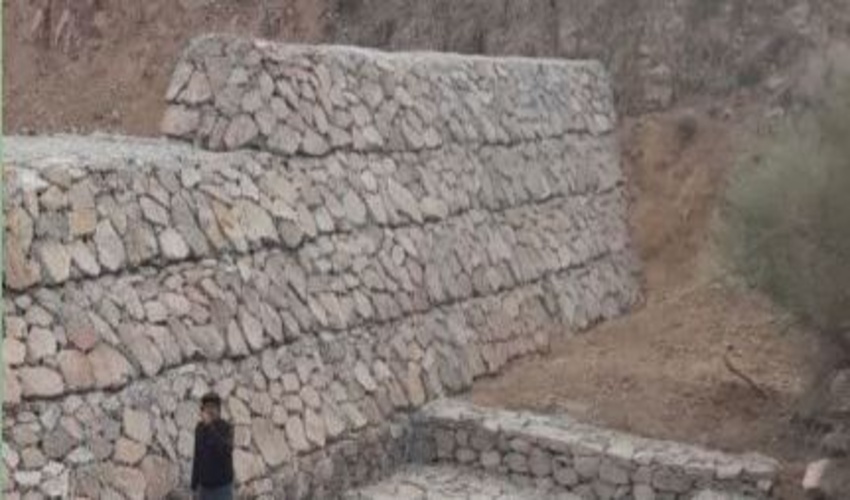 بانوان اداره کل منابع طبیعی و آبخیزداری نوشهر به مناسبت روز زن تجلیل شدند