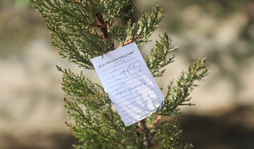 پیام مدیر کل منابع طبیعی و آبخیزداری استان مازندران نوشهر در آستانه هفته گرامیداشت دفاع مقدس