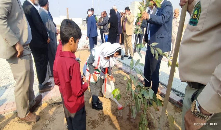 کشف چوب آلات قاچاق در زیر جعبه های مرکبات