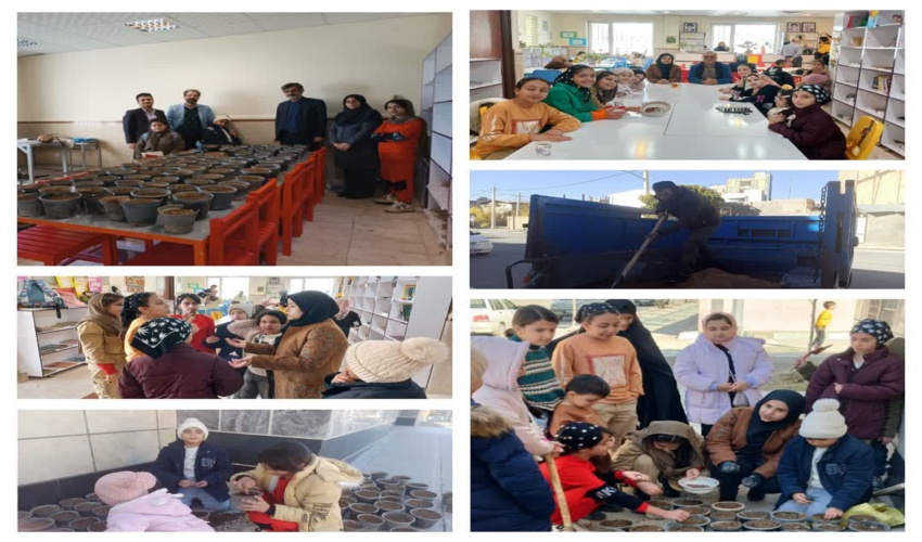  زراعت چوب باعث ايجاد فرصت هاي شغلي مي شود 