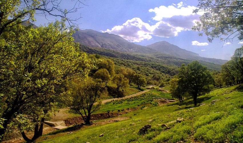 نخستین جلسه شورای اداری اداره کل منابع طبیعی و آبخیزداری استان مازندران - نوشهر برگزار شد