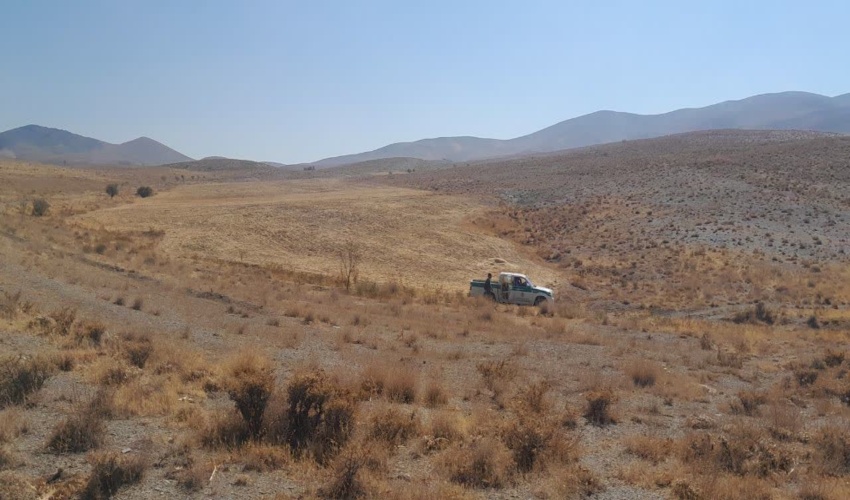 یک نماینده مجلس : لایحه حمایتی محیط بانان و جنگلبانان در صحن مجلس بررسی می شود 