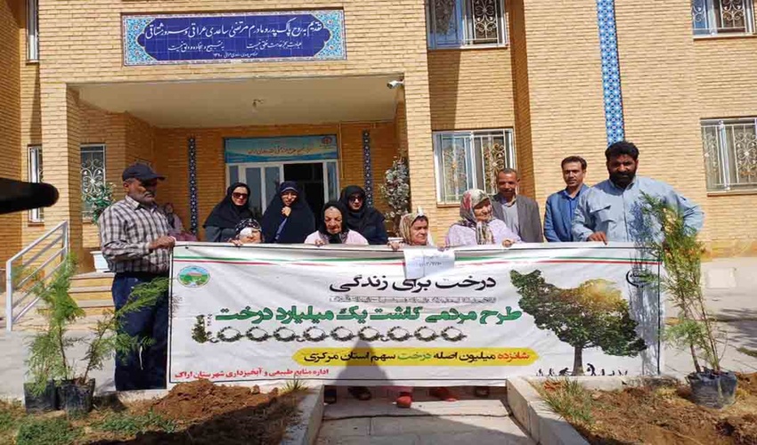 توسعه زراعت چوب در کاهش قاچاق اثرگذار است 