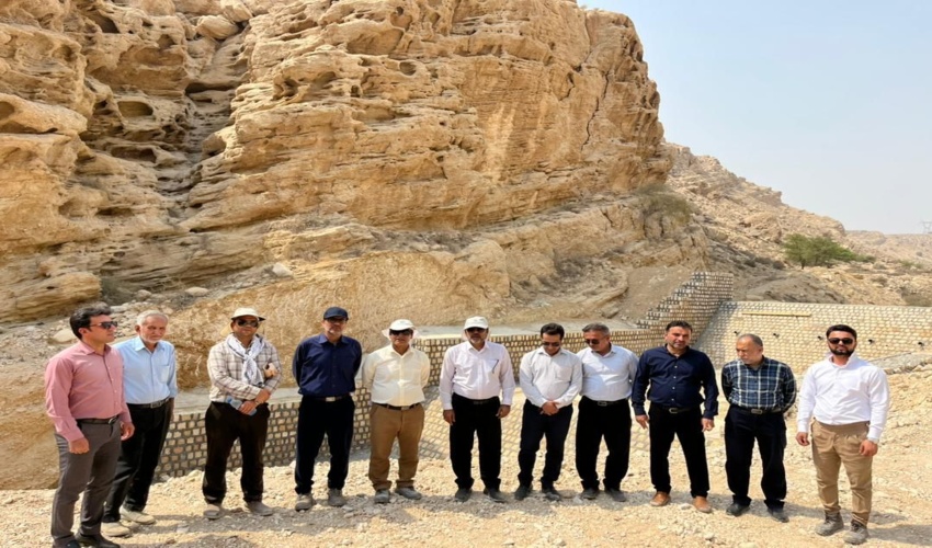  رئیس سازمان جنگل ها خبر داد اجرای طرح زراعت چوب در ۲۴ هزار هکتار از عرصه های طبیعی