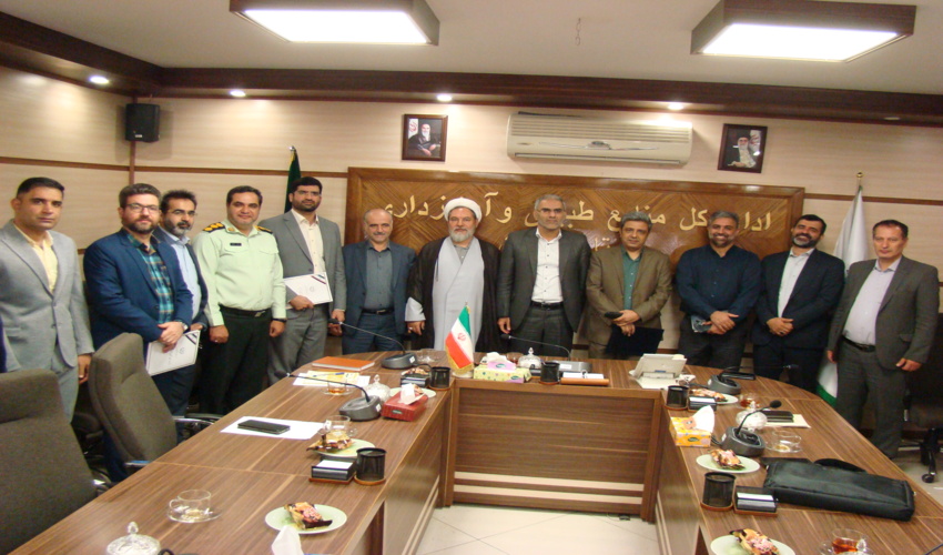 تولید یک میلیون و ۷۰۰هزار اصله نهال برای احیای شمشادستان‌های آفت‌زده شمال کشور 