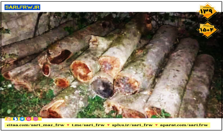شش میلیارد ریال برای تجهیز شوراهای اسلامی روستاهای غرب مازندران هرینه شد 