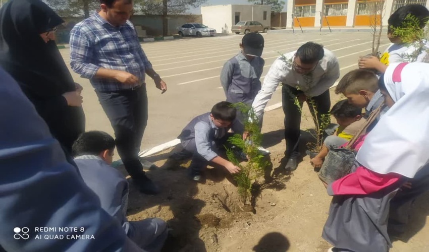 دو هکتار از اراضی ملی جنگلی در نوشهر خلع ید شد