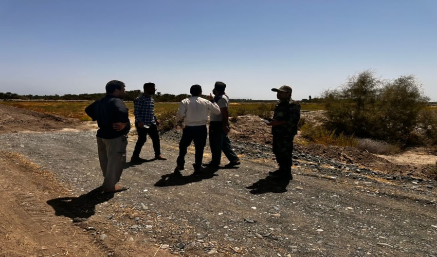 آتش سوزی جنگل های عباس آباد خاموش شد