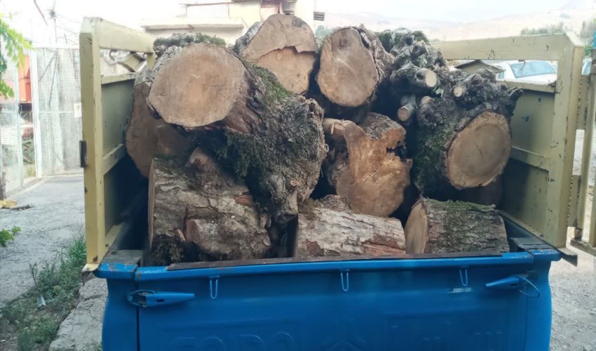  بازدید سرزده رئیس سازمان جنگل‌ها از پاسگاه‌های حفاظتی جنگل‌های هیرکانی