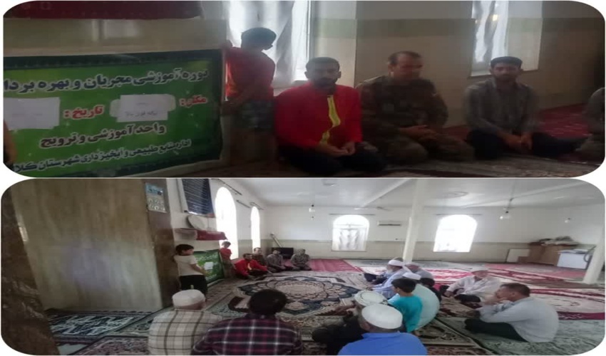  مهر گزارش می دهد؛ ویلاسازی در قطعات جلگه‌ای مازندران/ برندی که بلای منابع طبیعی شد