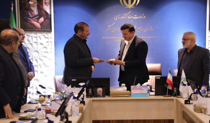 شرکت پارس نئوپان عامل قاچاق چوب در جنگلهای عباس آباد است