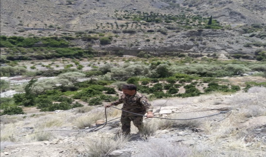  مدیرکل منابع طبیعی مازندران- نوشهر: سهم غرب مازندران از نهالکاری ۹۴۰ هکتار است