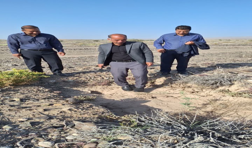 بیش از دو هزار اصله نهال شمشاد از نوشهر به مرکز بذر جنگلی خزر آمل انتقال داده شد