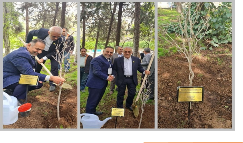 كشف چوب آلات قاچاق در کجور 