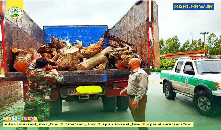 عقب نشینی زمین خواران در نوشهر