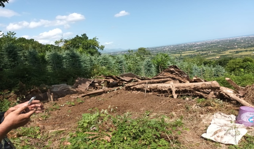 هشت هزار متر مربع اراضي ملي در تنكابن بازپس گرفته شد 