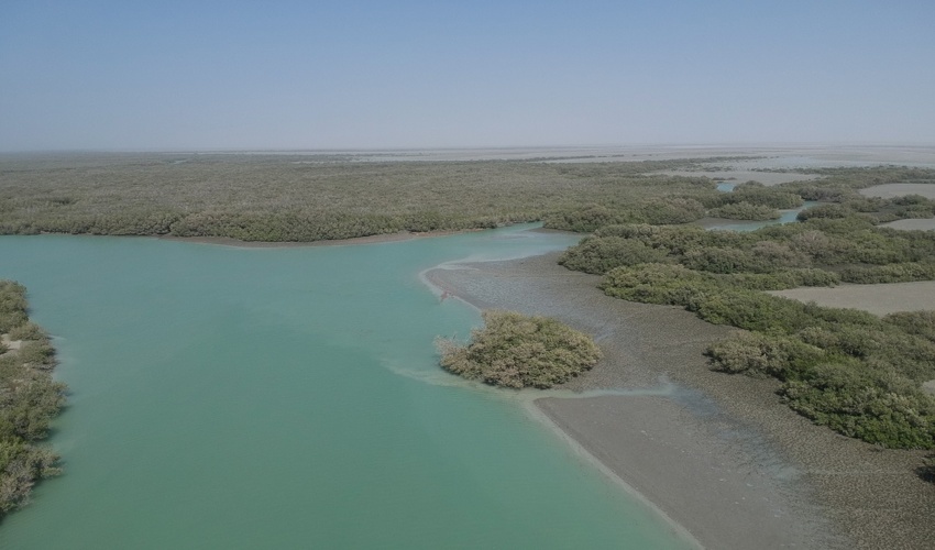 سرپرست اداره امور مرتع اداره کل منصوب شد 