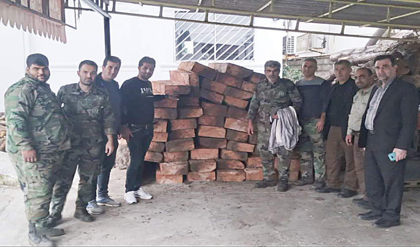  کشف یک محموله چوب قاچاق در عباس آباد 