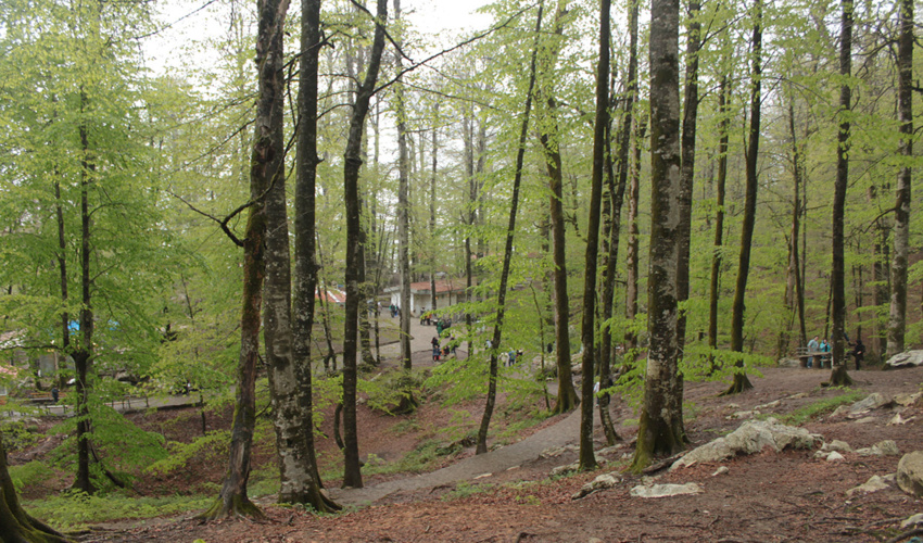 کتابچه طرح10  تفرجگاه جنگلی غرب مازندران تصویب شد 