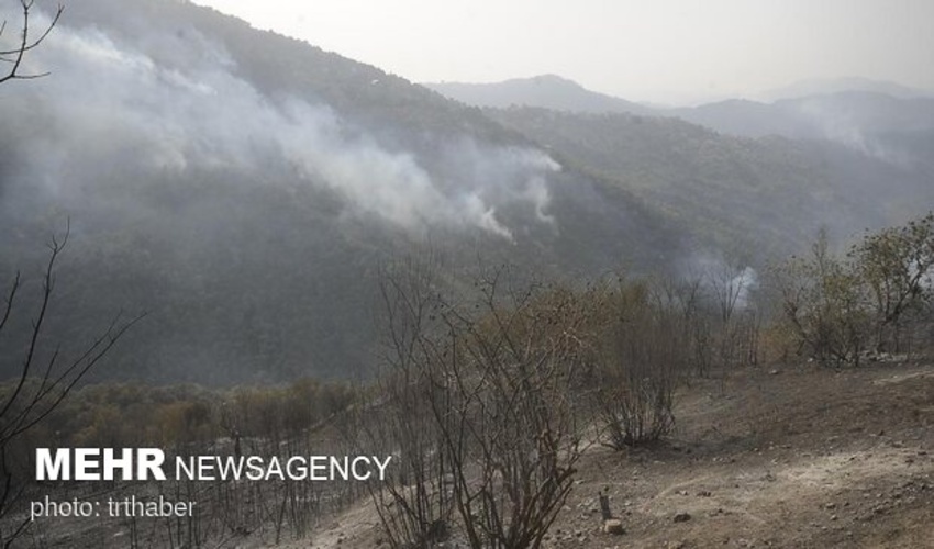 درختان نیمه سوخته جنگل از پاییزگردی آتش/ هیرکان کباب می شود