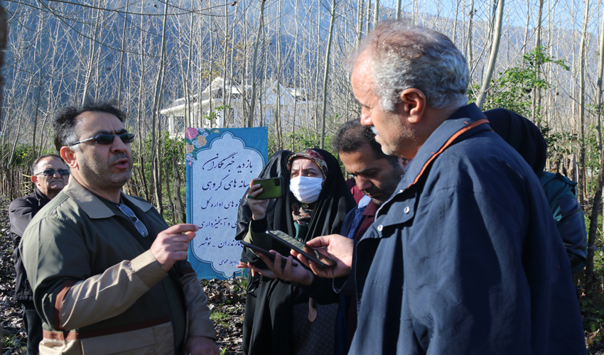 پیش بینی تولید ۳۰ هزار مترمکعب چوب در غرب مازندران