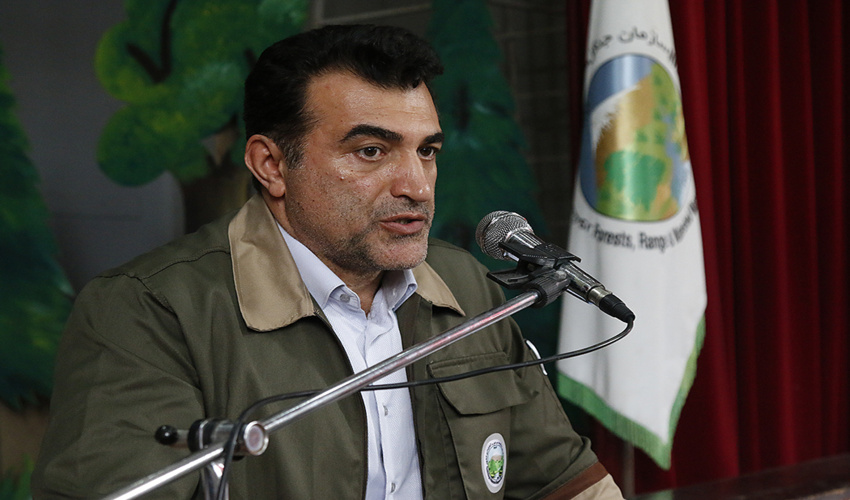 اجرای طرح مدیریت پایدار جنگل‌های شمال به هزار میلیارد تومان نیاز دارد