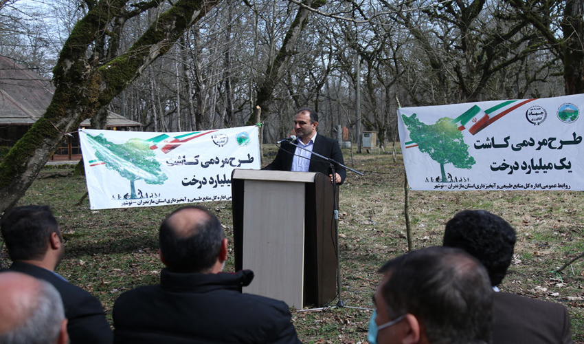 تولید 130 میلیون اصله نهال جنگلی درغرب مازندران