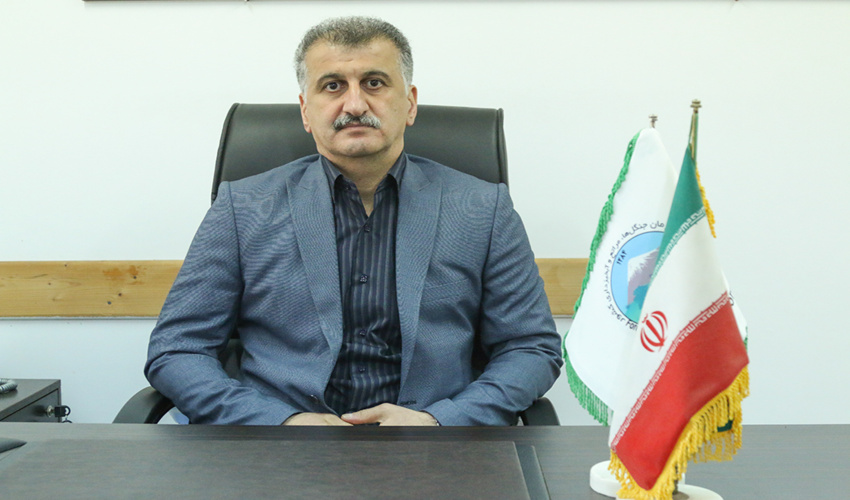 سرپرست معاونت حفاظت و امور اراضی منصوب شد 